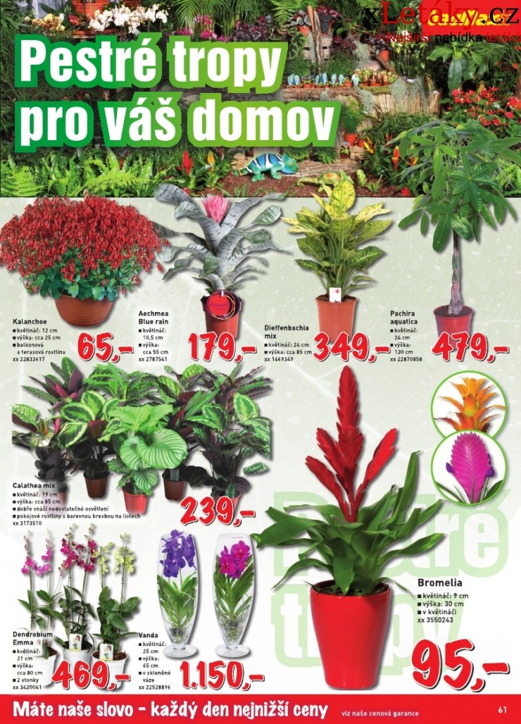 leták Baumax aktuální leták strana 1 leták Baumax aktuální leták strana 1