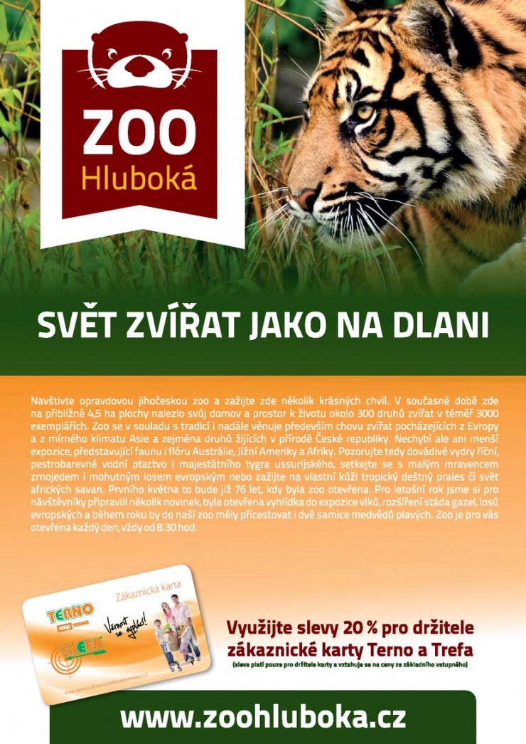 let�k COOP Terno od 27.5.2015 strana 1